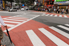 Muza chan's Japan Photo Gallery